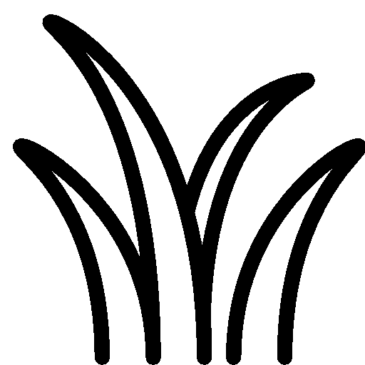 pakan